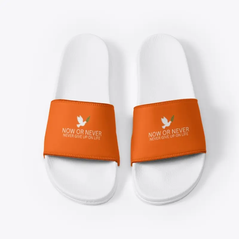 Now Or Never white slides