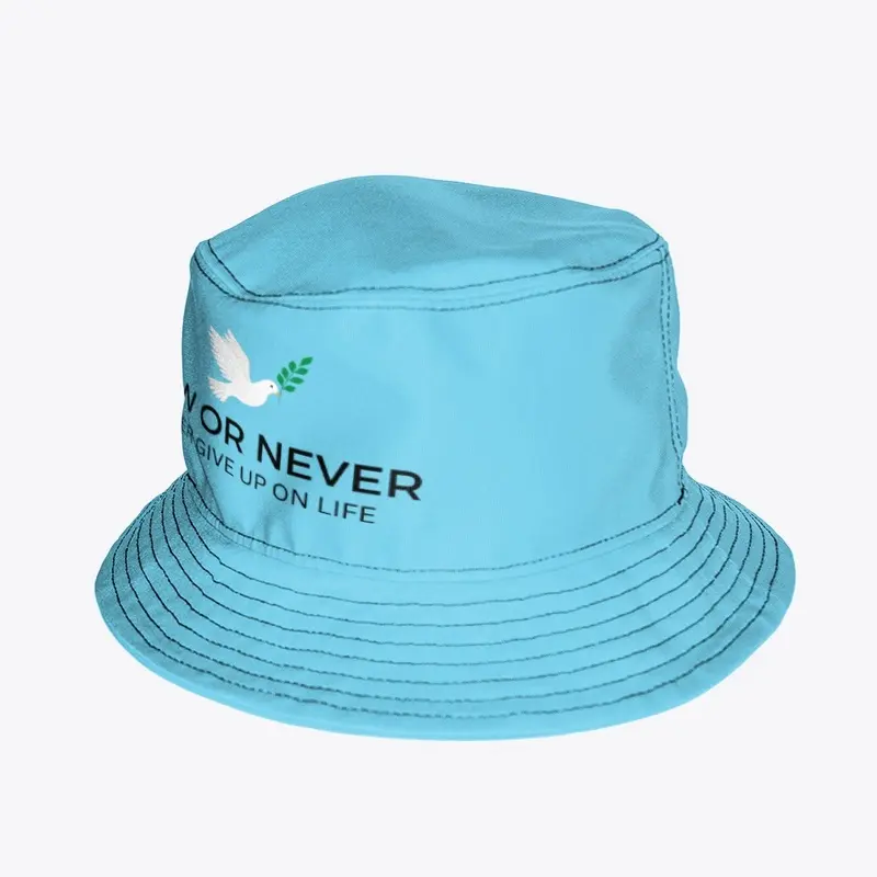 Now or Never hat 